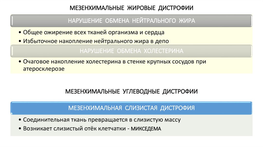МЕЗЕНХИМАЛЬНЫЕ УГЛЕВОДНЫЕ ДИСТРОФИИ