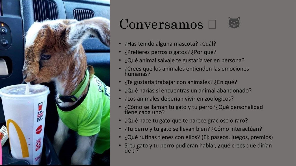 Conversamos 