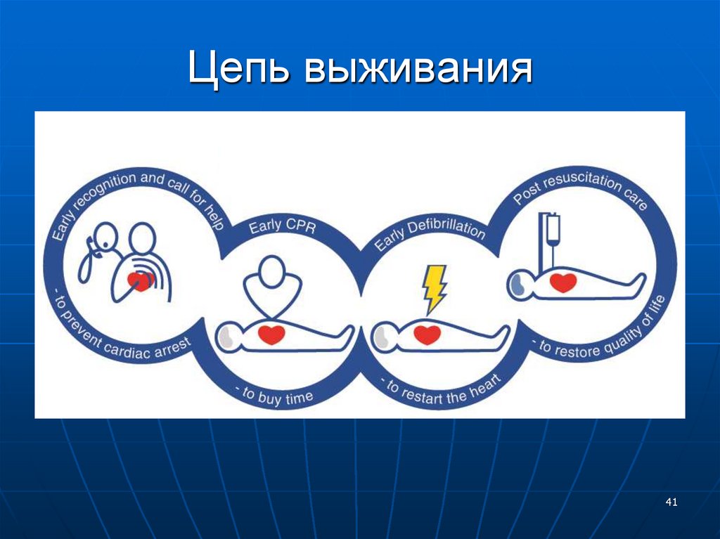 Цепь выживания