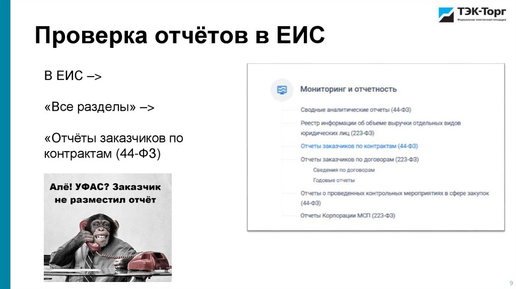 Проверка отчётов в ЕИС