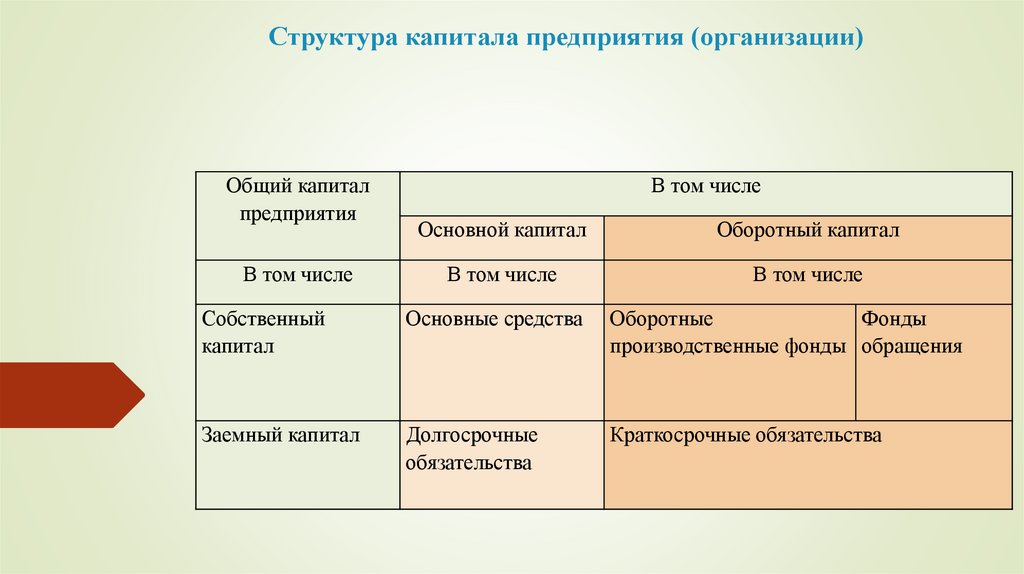 Структура капитала предприятия (организации)