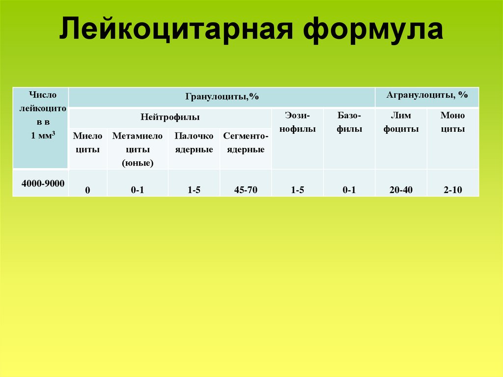 Лейкоцитарная формула