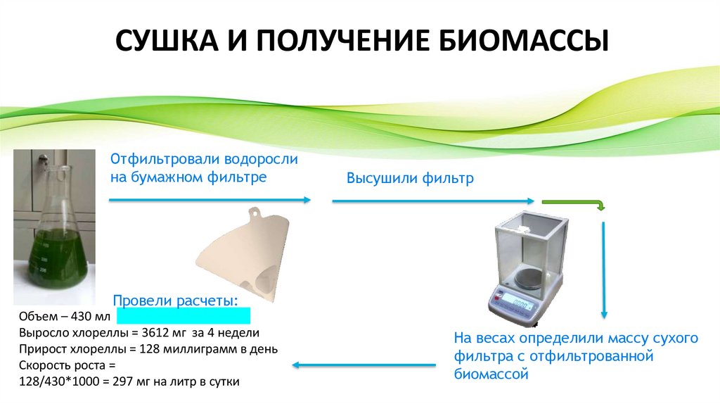 СУШКА И ПОЛУЧЕНИЕ БИОМАССЫ