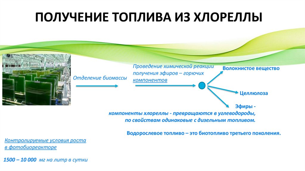 ПОЛУЧЕНИЕ ТОПЛИВА ИЗ ХЛОРЕЛЛЫ