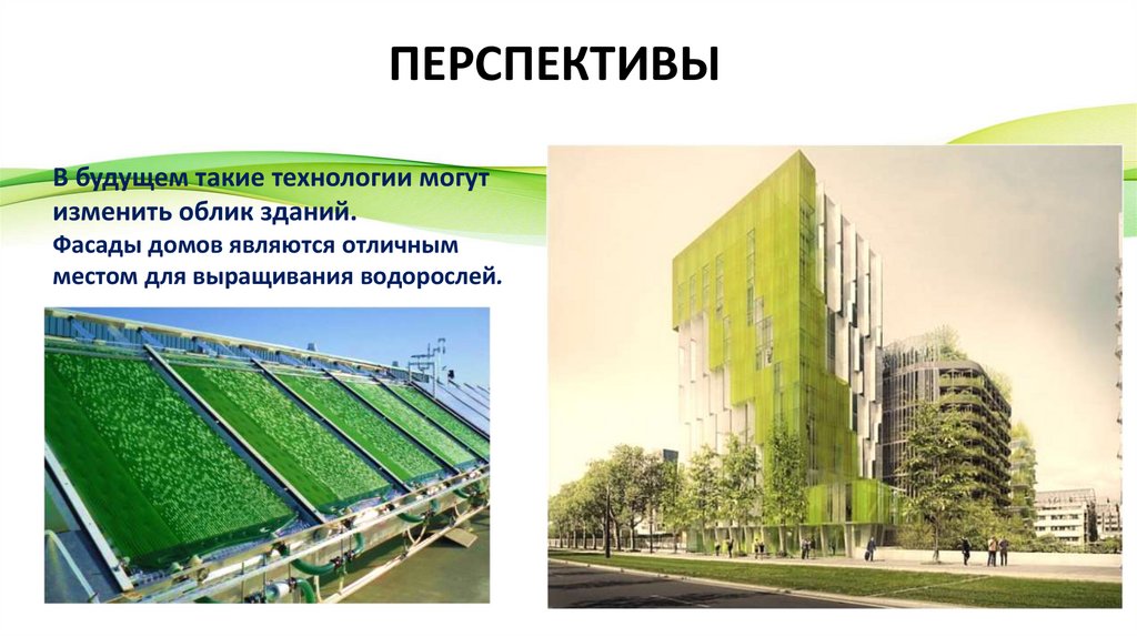 ПЕРСПЕКТИВЫ