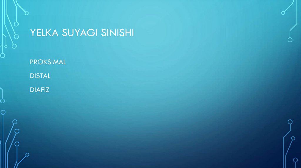 YELKA SUYAGI SINISHI
