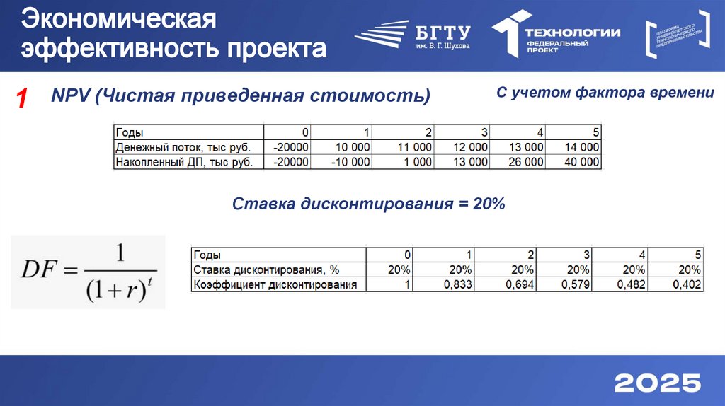 Экономическая эффективность проекта