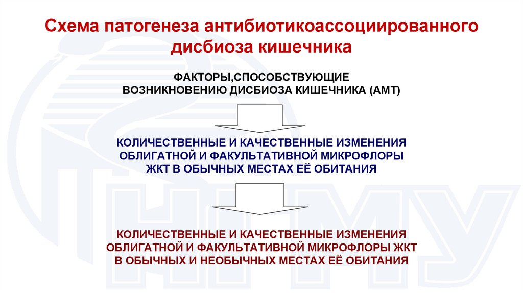 Схема патогенеза антибиотикоассоциированного дисбиоза кишечника