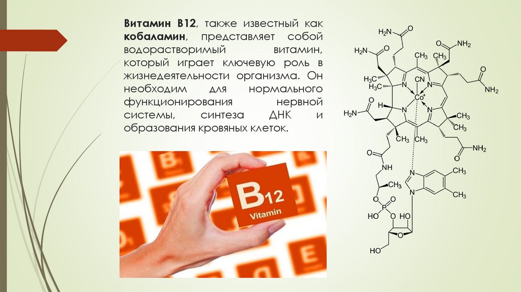 Витамин B12, также известный как кобаламин, представляет собой водорастворимый витамин, который играет ключевую роль в