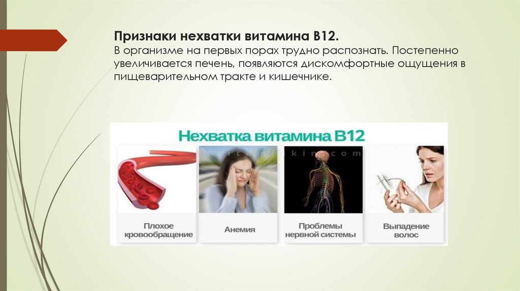 Признаки нехватки витамина В12. В организме на первых порах трудно распознать. Постепенно увеличивается печень, появляются