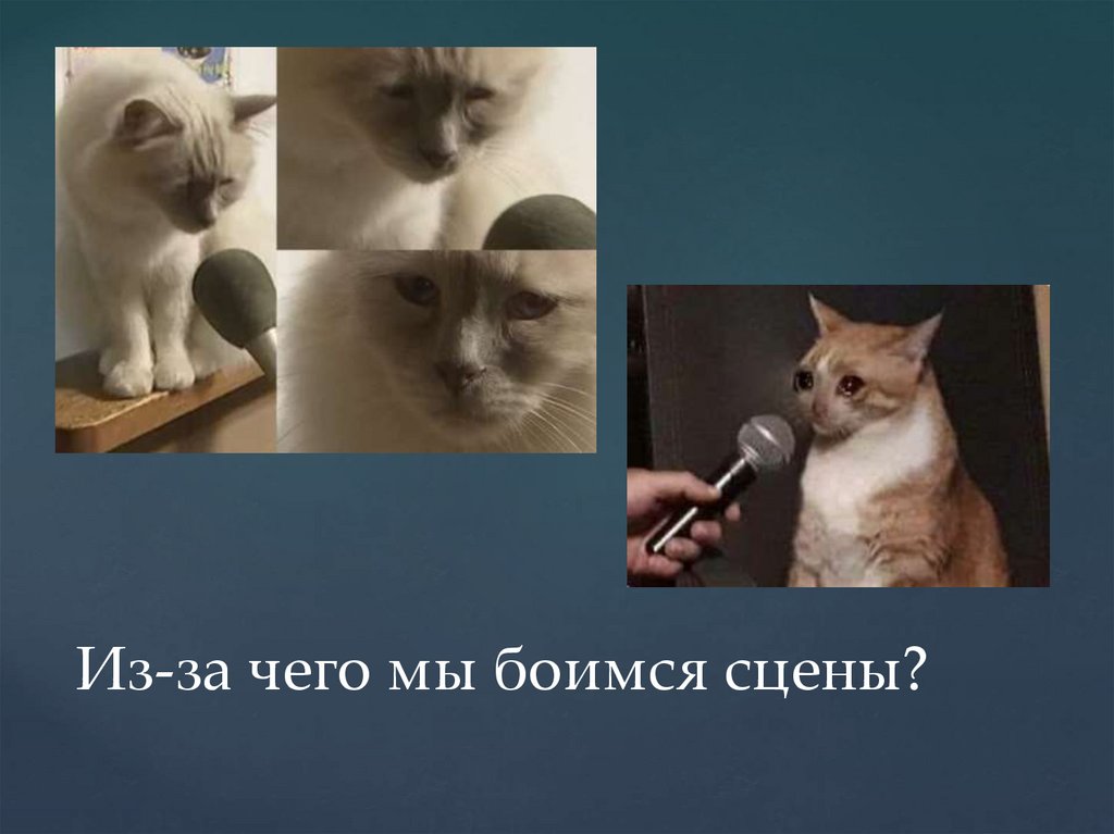 Из-за чего мы боимся сцены?