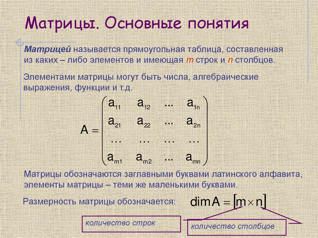 Матрицы. Основные понятия