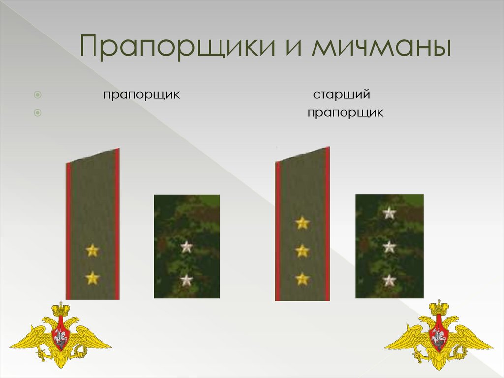 Прапорщики и мичманы