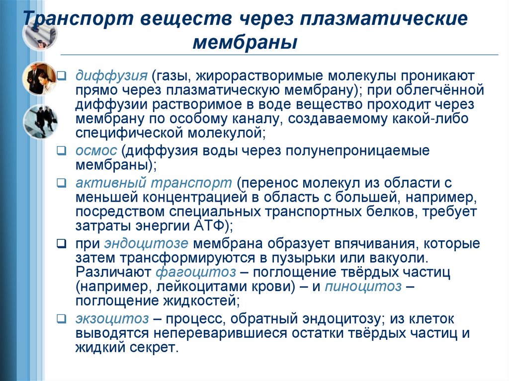 Транспорт веществ через плазматические мембраны