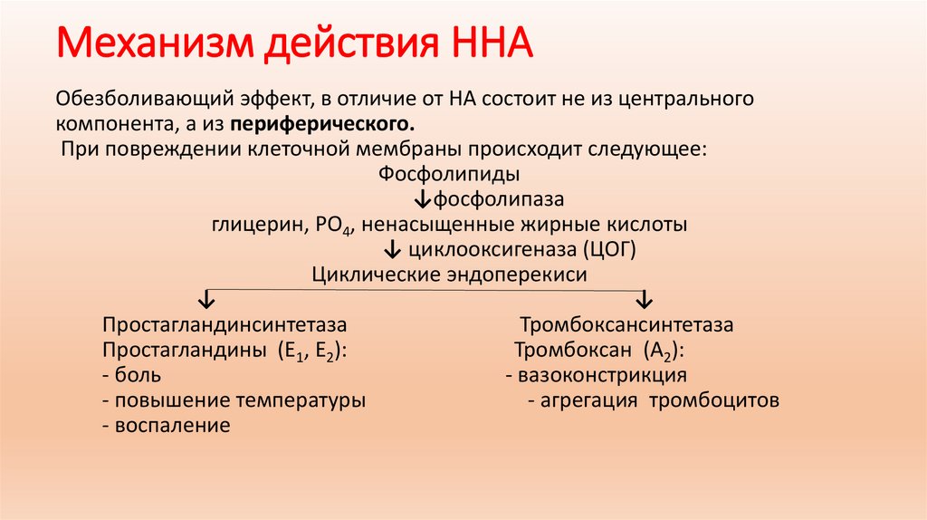 Механизм действия ННА