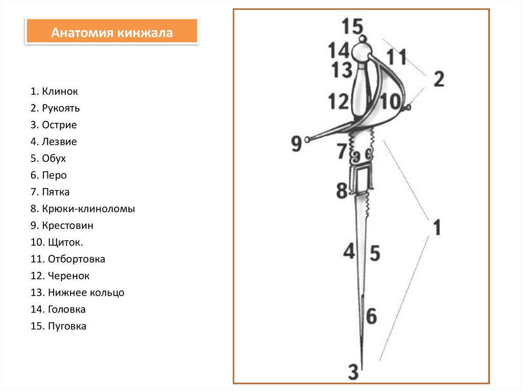 Анатомия кинжала
