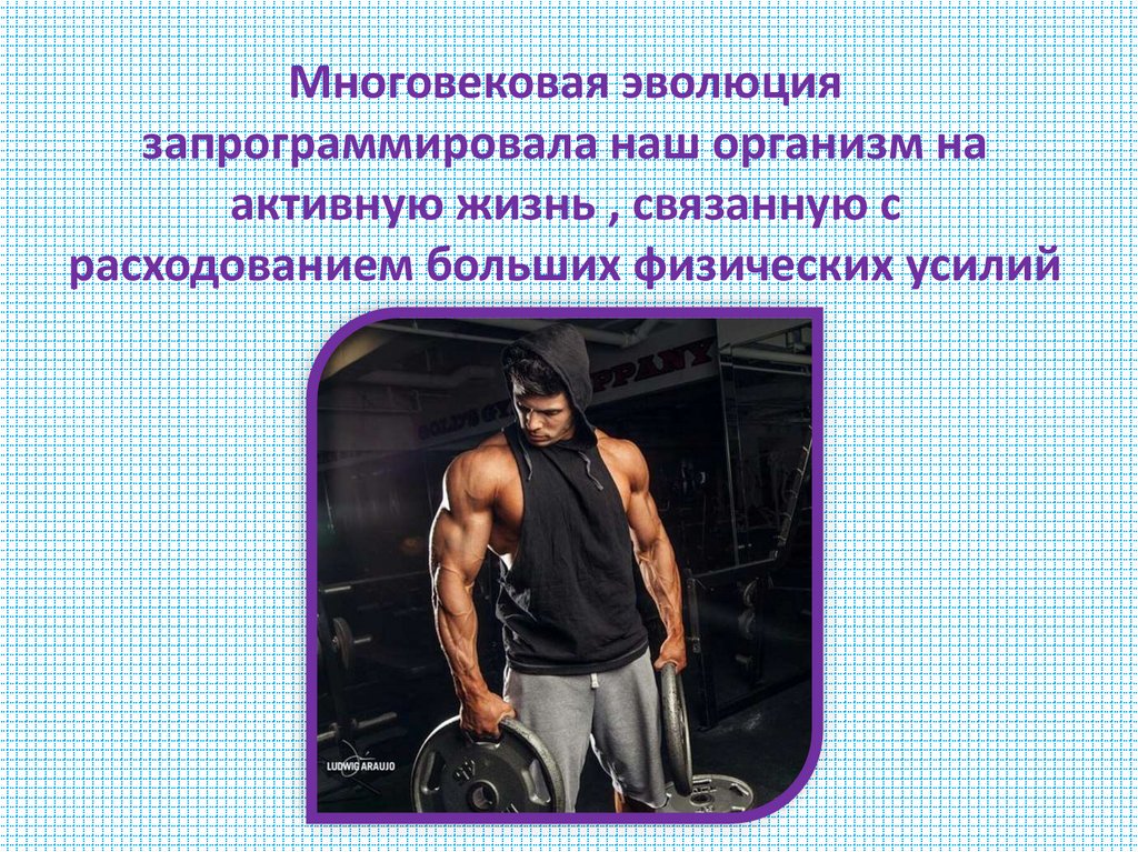 Многовековая эволюция запрограммировала наш организм на активную жизнь , связанную с расходованием больших физических усилий