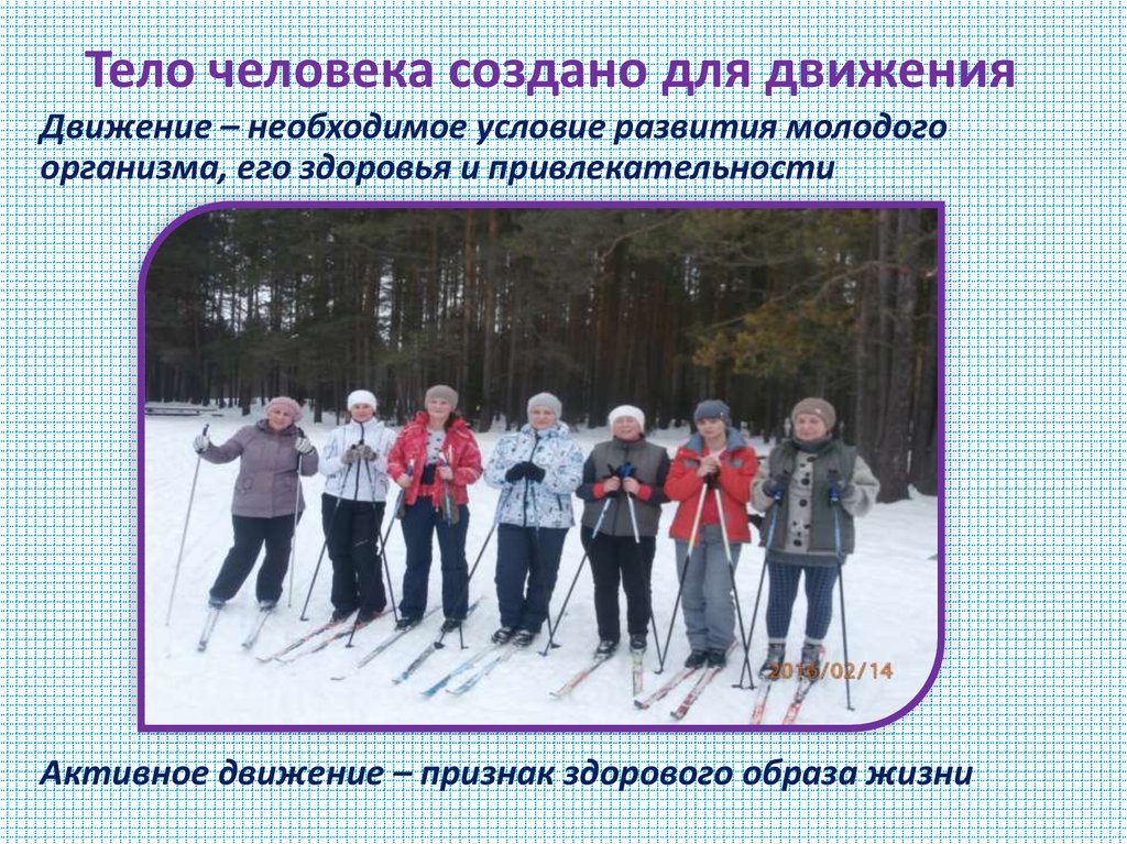 Тело человека создано для движения