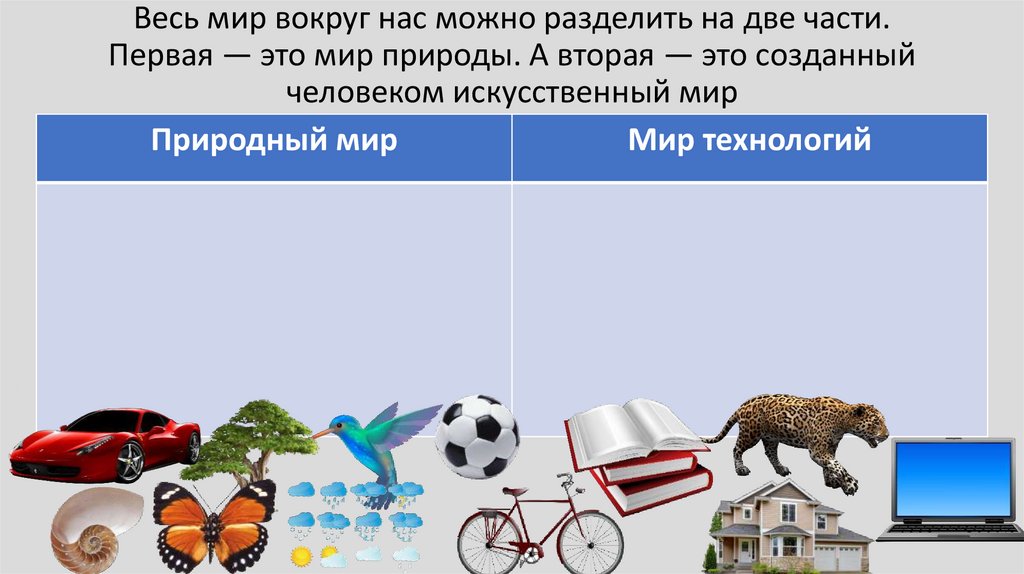 Весь мир вокруг нас можно разделить на две части. Первая — это мир природы. А вторая — это созданный человеком искусственный