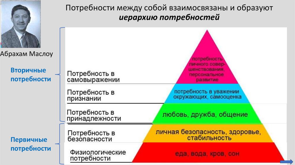 Потребности между собой взаимосвязаны и образуют иерархию потребностей