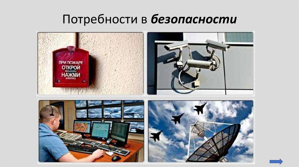 Потребности в безопасности