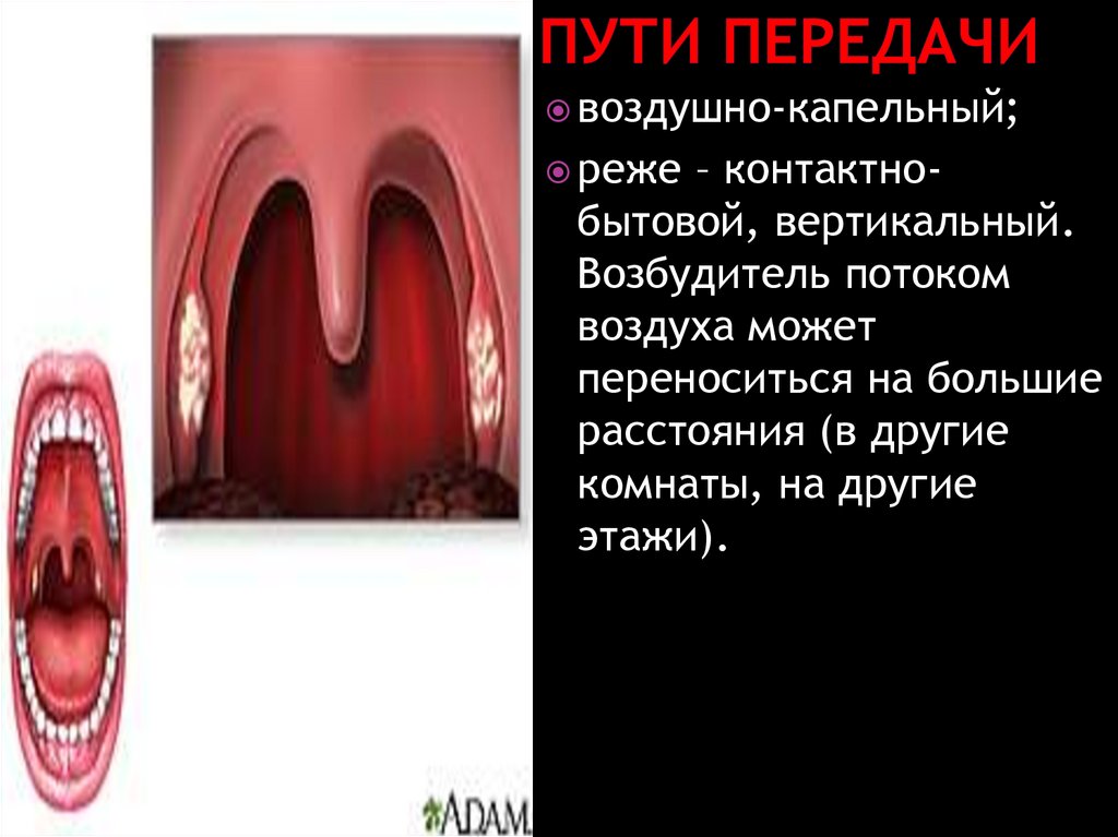 Пути передачи