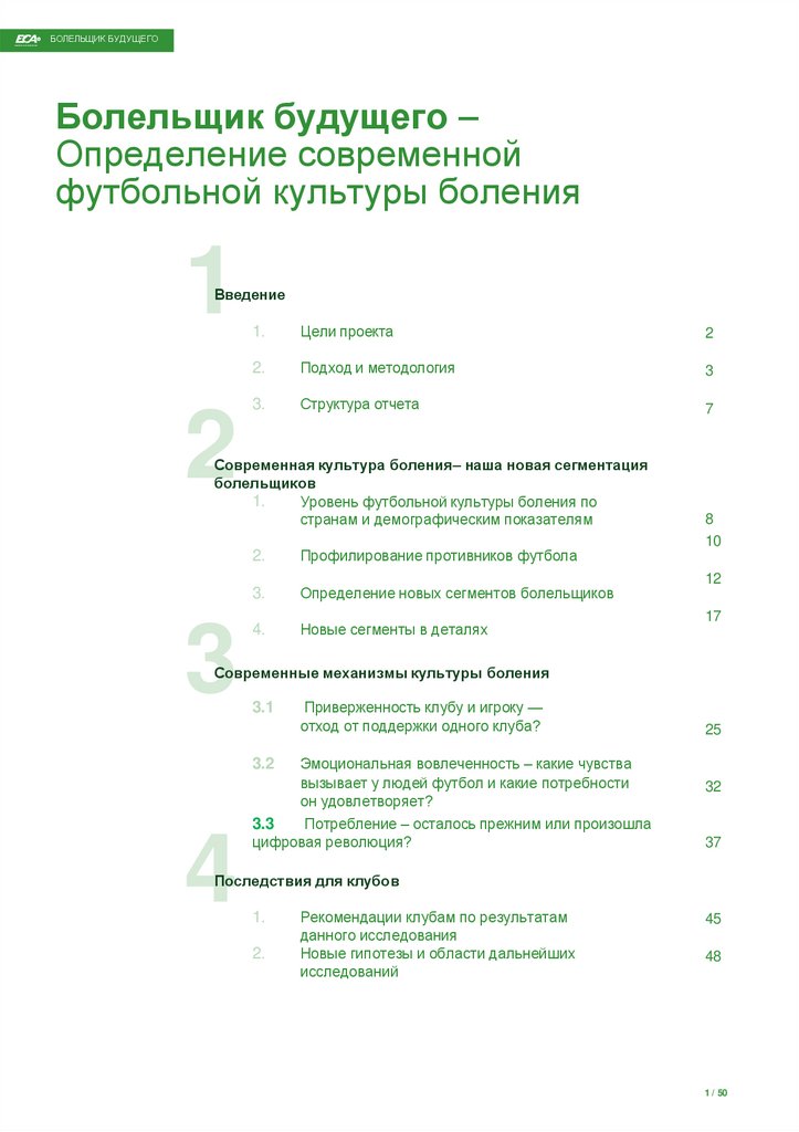 Болельщик будущего – Определение современной футбольной культуры боления