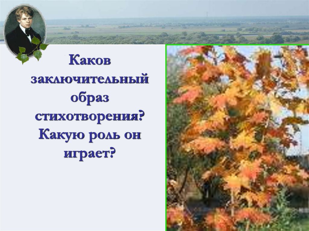 Каков заключительный образ стихотворения? Какую роль он играет?