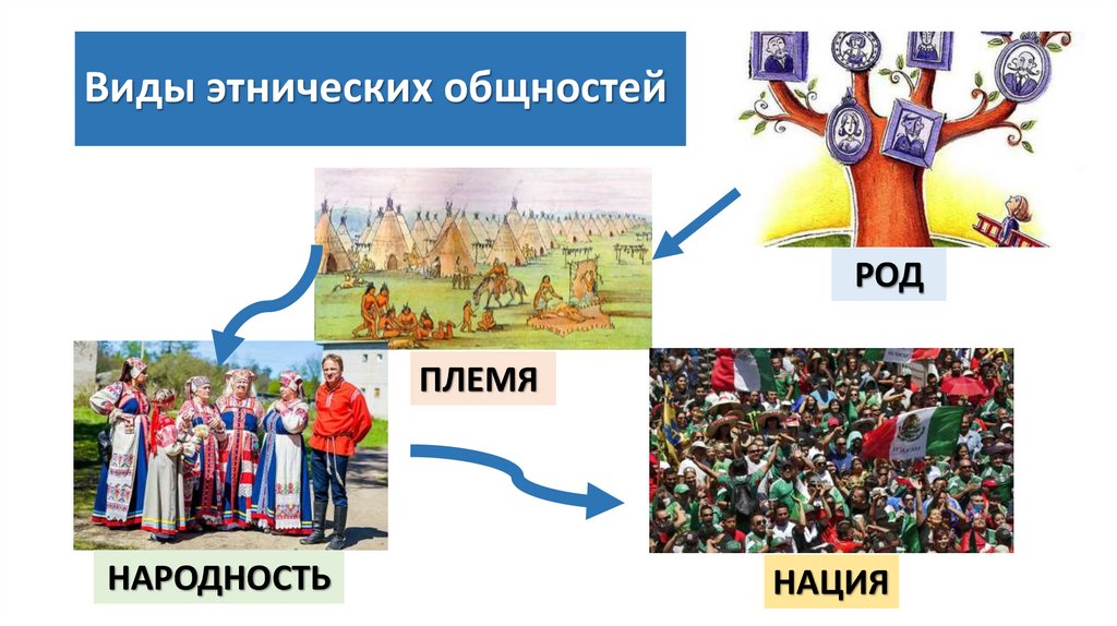 Виды этнических общностей