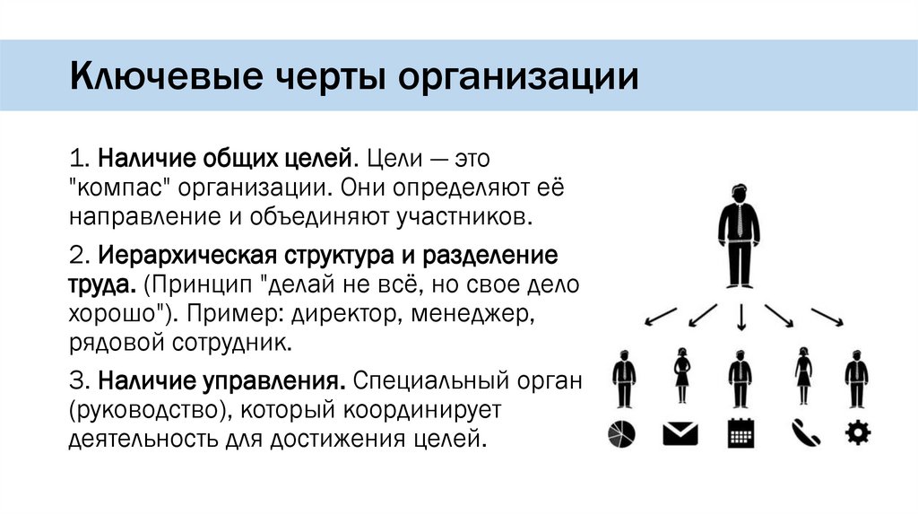 Ключевые черты организации