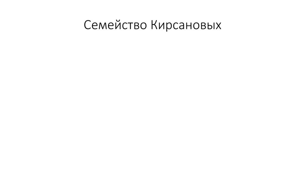 Семейство Кирсановых