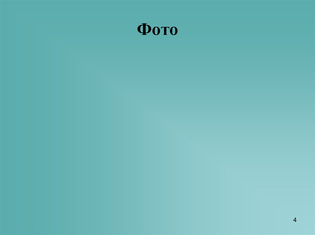 Фото