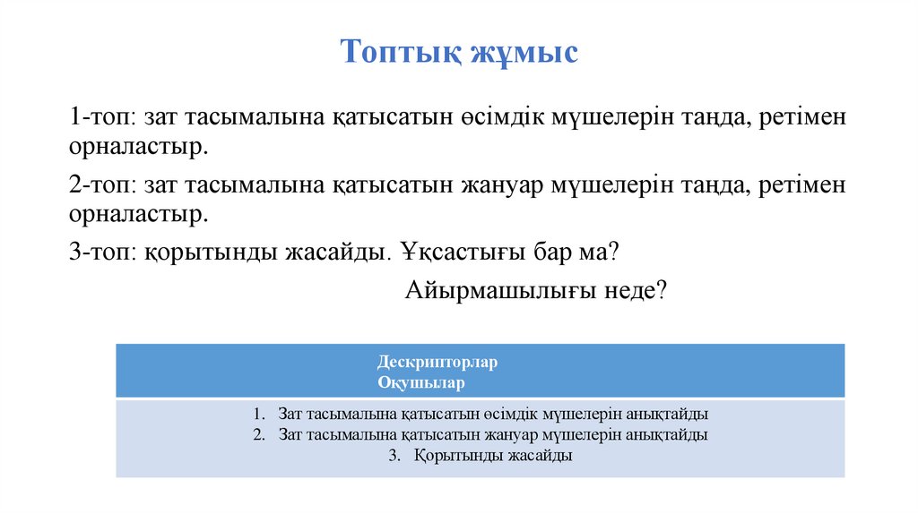 Топтық жұмыс