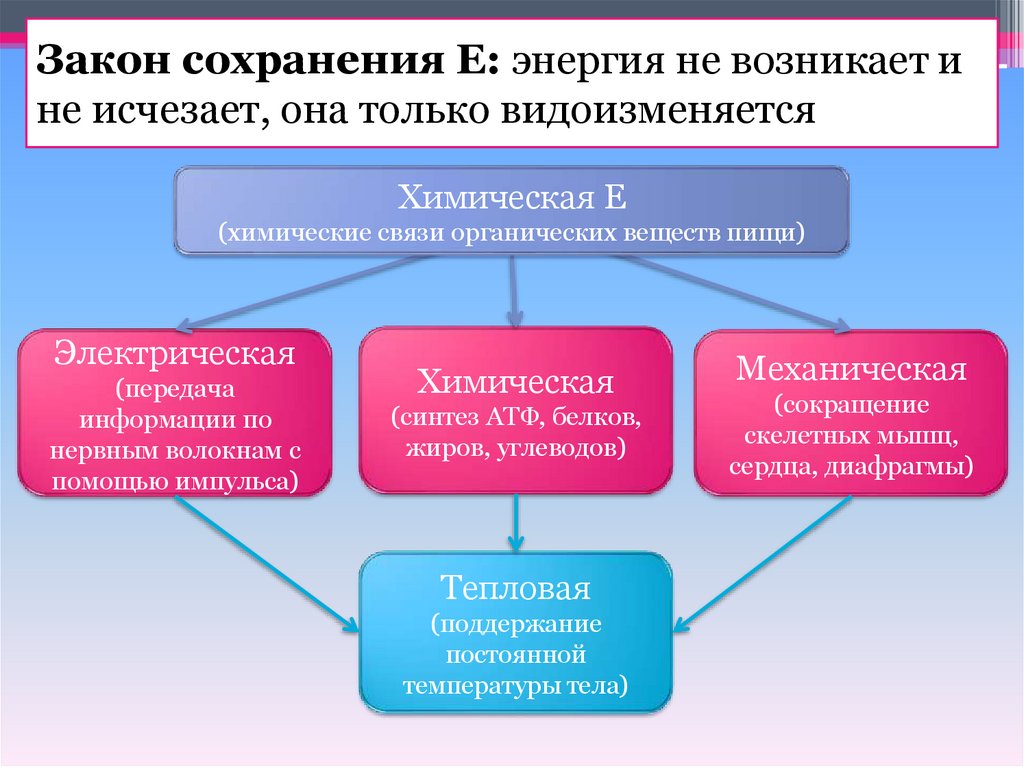 Закон сохранения Е: энергия не возникает и не исчезает, она только видоизменяется