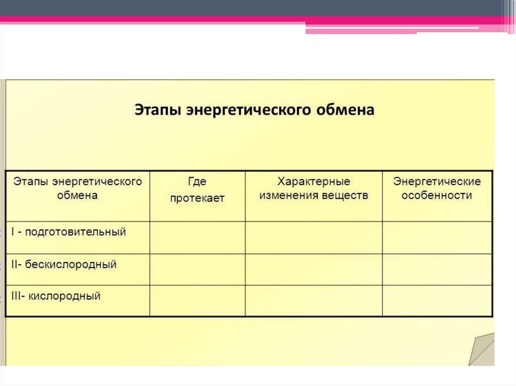 Заполнить таблицу: