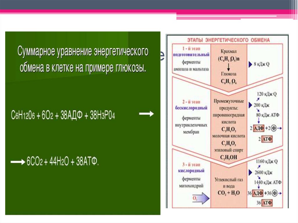 Суммарное уравнение