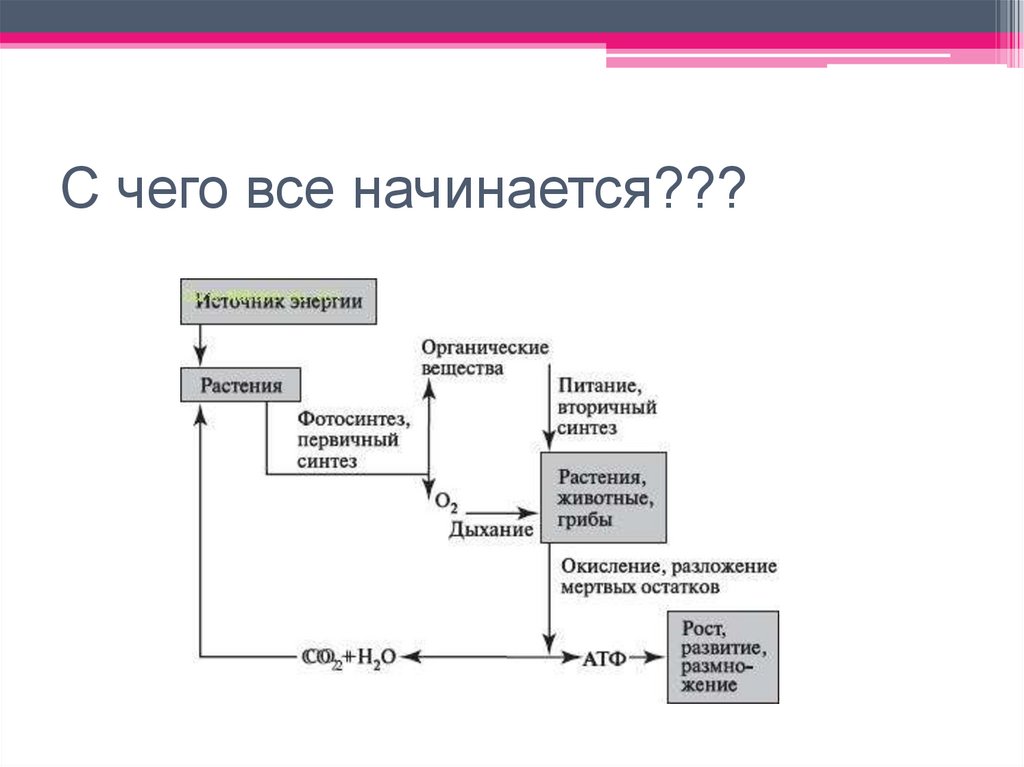 С чего все начинается???