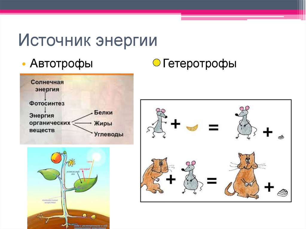 Источник энергии