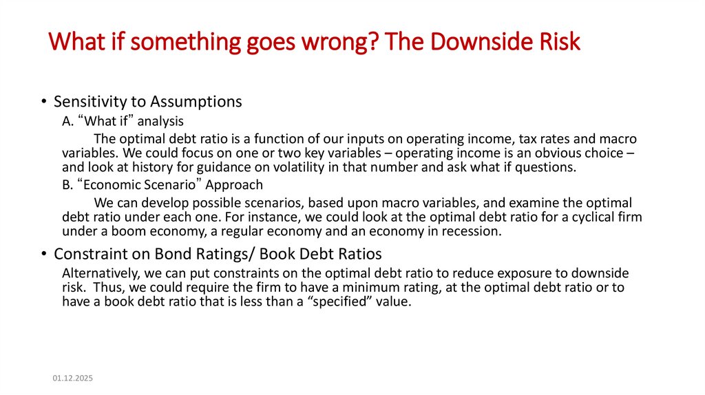 What if something goes wrong? The Downside Risk