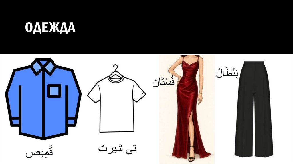 Одежда