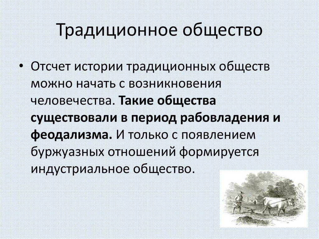 Традиционное общество