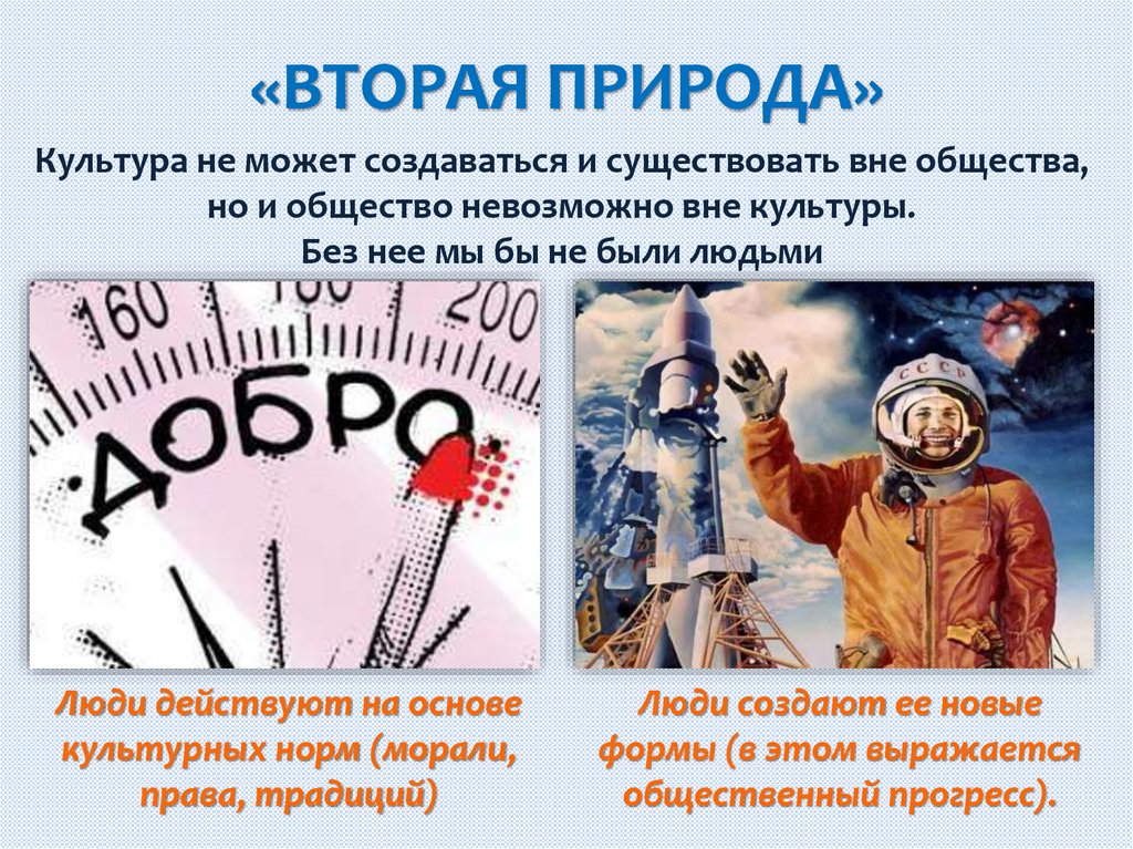 «ВТОРАЯ ПРИРОДА»