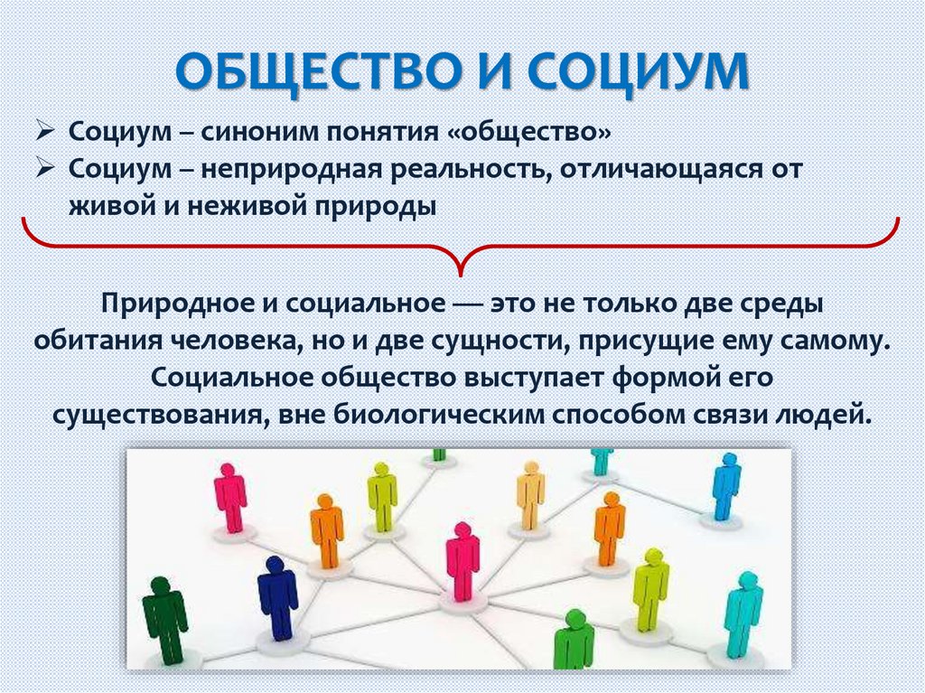 ОБЩЕСТВО И СОЦИУМ