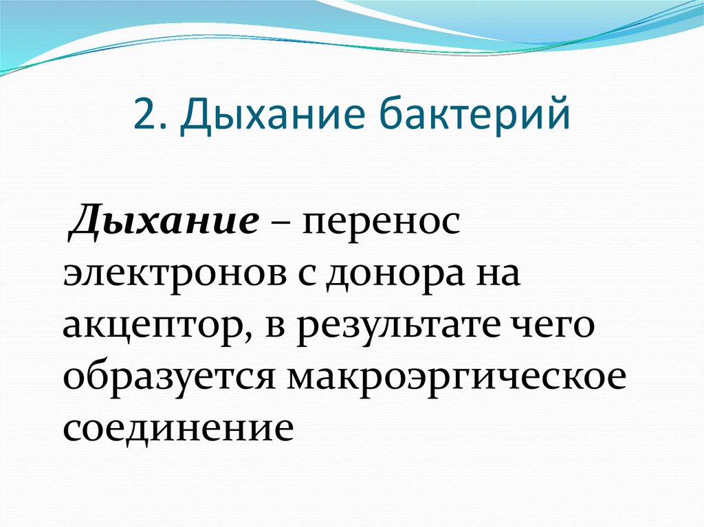 2. Дыхание бактерий