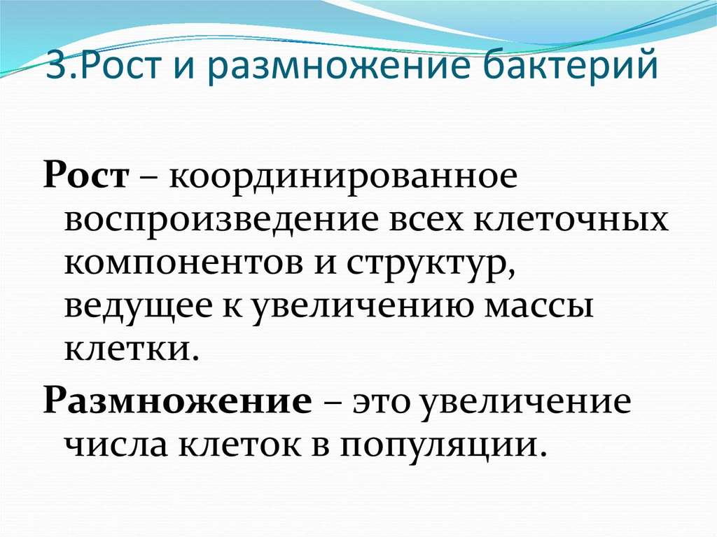 3.Рост и размножение бактерий