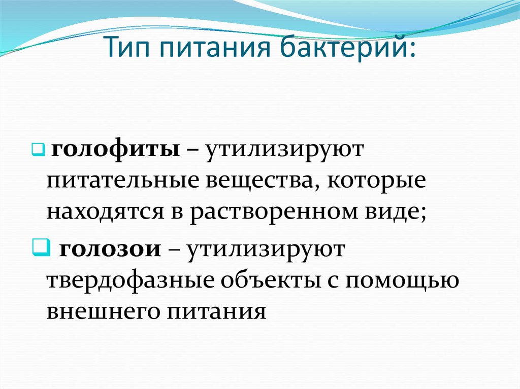 Тип питания бактерий: