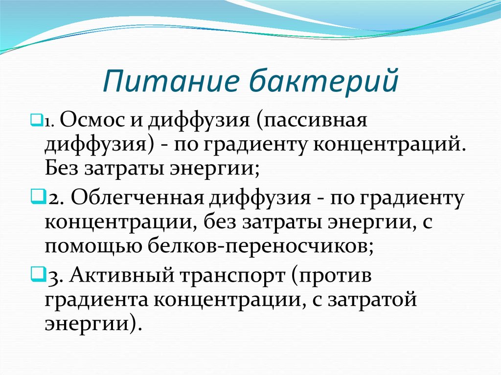 Питание бактерий