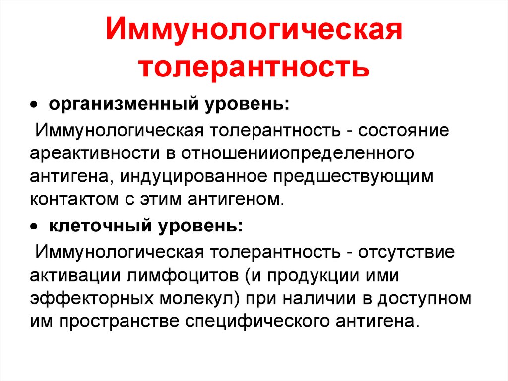 Иммунологическая толерантность