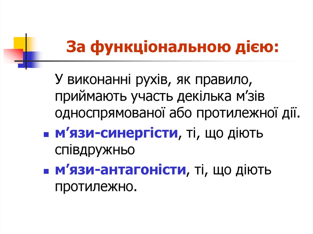 За функціональною дією: