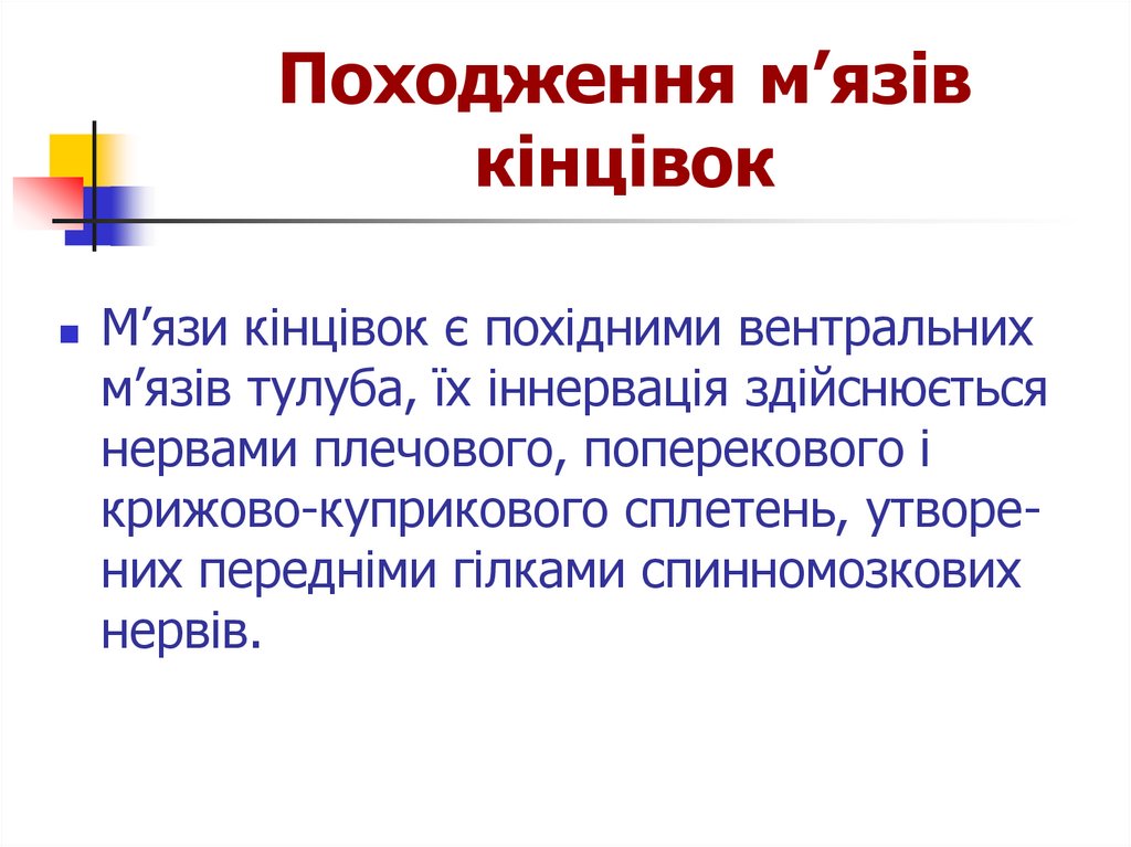 Походження м’язів кінцівок